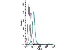 Cell surface detection of GPR4 by direct flow cytometry in live intact human  monocytic leukemia cells: + Rabbit IgG Isotype Control-FITC (ABIN7582044).