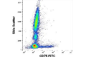 Flow cytometry surface staining pattern of human peripheral whole blood stained using anti-human CD75 (LN1) PE antibody (4 μL reagent / 100 μL of peripheral whole blood). (ST6GAL1 抗体  (FITC))