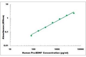 Representative Standard Curve (Pro BDNF ELISA 试剂盒)