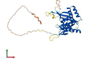 Protein Structure (PS) image for BRCA2 and CDKN1A Interacting Protein (BCCIP) (AA 1-314) protein (His tag) (ABIN7552608)