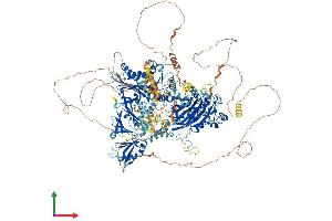 AlphaFold protein structure predicition of Human Recombinant SYNJ2 Protein, UniprotID O15056