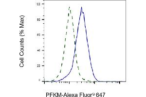 Validation of PFKM knockdown using flow cytometry. (Recombinant PFKM 抗体)