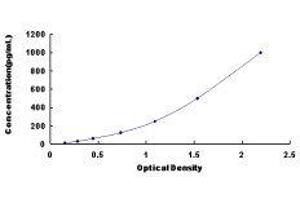 Fibroblast Growth Factor 18 (FGF18) ELISA Kit
