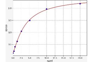 Typical standard curve (Biliverdin Reductase ELISA 试剂盒)