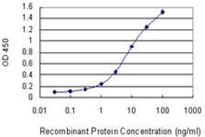 Detection limit for recombinant GST tagged FLI1 is 0. (FLI1 抗体  (AA 1-452))