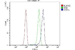 Flow Cytometry analysis of SiHa cells using anti-DRP1/DNM1L antibody (ABIN7602180). (Dynamin 1-Like 抗体  (AA 618-736))