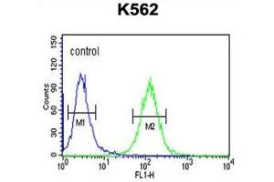Flow Cytometry (FACS) image for anti-Reticulon 4 Receptor-Like 1 (RTN4RL1) antibody (ABIN3002287)