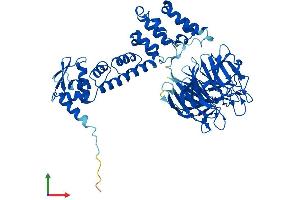 Protein Structure (PS) image for Kelch-Like 12 (Drosophila) (KLHL12) (AA 1-568) protein (His tag) (ABIN7564476)