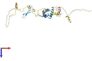 AlphaFold protein structure predicition of Human Recombinant TBATA Protein, UniprotID Q96M53