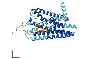 Protein Structure (PS) image for Olfactory Receptor, Family 7, Subfamily D, Member 2 (OR7D2) (AA 1-312) protein (His tag) (ABIN7550105)