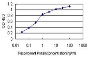 Detection limit for recombinant GST tagged AHNAK is approximately 0. (AHNAK 抗体  (AA 1-100))