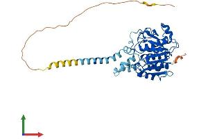 Protein Structure (PS) image for Abhydrolase Domain Containing 12 (ABHD12) (AA 1-398) protein (His tag) (ABIN7551843)