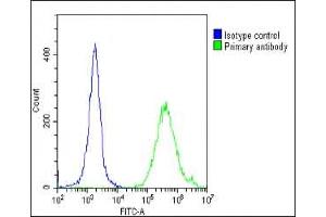 Overlay histogram showing Hela cells stained with (ABIN652044 and ABIN2840518)(green line). (PPARG 抗体  (N-Term))