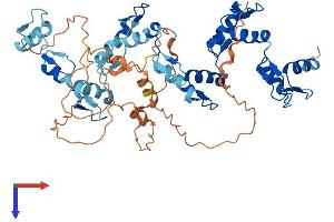ZNF79 Protein (AA 1-498) (His tag)