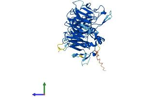 AlphaFold protein structure predicition of Mouse Recombinant Ppp2r2b Protein, UniprotID Q6ZWR4
