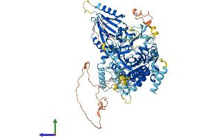 Protein Structure (PS) image for FIG4 Homolog, SAC1 Lipid Phosphatase Domain Containing (FIG4) (AA 1-907) protein (His tag) (ABIN7564799)