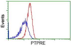 Image no. 2 for anti-Protein tyrosine Phosphatase, Receptor Type, E (PTPRE) antibody (ABIN1500507) (PTPRE 抗体)