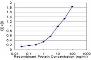 Detection limit for recombinant GST tagged CNR1 is approximately 0. (CNR1 抗体  (AA 1-110))