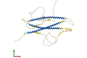 AlphaFold protein structure predicition of Mouse Recombinant N4bp3 Protein, UniprotID Q8C7U1 (N4BP3 Protein (AA 1-537) (His tag))