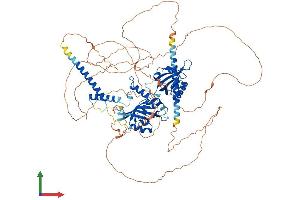 Protein Structure (PS) image for Clock Homolog (Mouse) (CLOCK) (AA 1-855) protein (His tag) (ABIN7562202)
