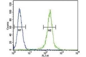 AMH antibody flow cytometric analysis of 293 cells (green) (AMH 抗体  (AA 424-451))