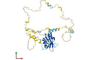 Protein Structure (PS) image for Src Homology 2 Domain Containing Transforming Protein D (SHD) (AA 1-343) protein (His tag) (ABIN7562668)