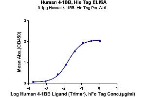 Immobilized Human 4-1BB, His Tag at 1 μg/mL (100 μL/well) on the plate.