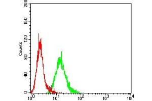 Flow cytometric analysis of Hela cells using DFFB mouse mAb (green) and negative control (red).