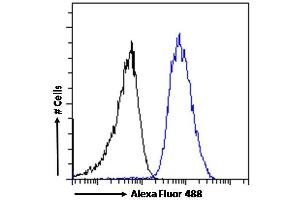 (ABIN185395) Flow cytometric analysis of paraformaldehyde fixed A549 cells (blue line), permeabilized with 0. (Arrestin 3 抗体  (Internal Region))