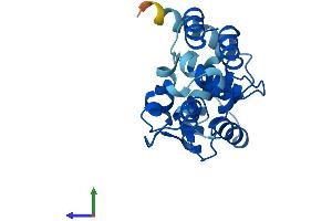 Protein Structure (PS) image for Calcyphosine-Like (CAPSL) (AA 1-208) protein (His tag) (ABIN7552922)