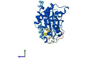 Protein Structure (PS) image for Cyclin-Dependent Kinase 1 (CDK1) (AA 1-297) protein (His tag) (ABIN7553338)