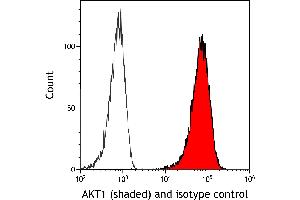 Flow Cytometry (FACS) image for anti-V-Akt Murine Thymoma Viral Oncogene Homolog 1 (AKT1) (AA 100-150) antibody (ABIN7795633)