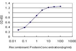 Detection limit for recombinant GST tagged SPRR3 is approximately 0. (SPRR3 抗体  (AA 1-161))