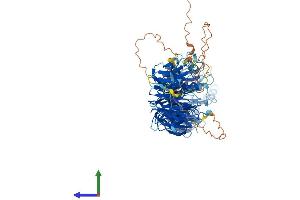 Protein Structure (PS) image for WD Repeat Domain 27 (WDR27) (AA 1-827) protein (His tag) (ABIN7545186)