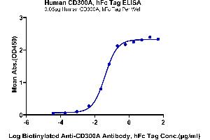 Immobilized Human CD300A, hFc Tag at 0. (CD300a Protein (CD300A) (AA 18-180) (Fc Tag))