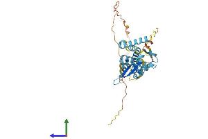 Protein Structure (PS) image for Necdin Homolog (Mouse) (NDN) (AA 1-325) protein (His tag) (ABIN7563006)
