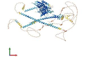 Protein Structure (PS) image for Kinesin Family Member 17 (KIF17) (AA 1-1029) protein (His tag) (ABIN7554288)