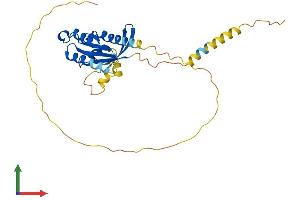 AlphaFold protein structure predicition of Human Recombinant REM1 Protein, UniprotID O75628