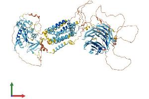 Protein Structure (PS) image for SREBF chaperone (SCAP) (AA 1-1279) protein (His tag) (ABIN7555415)