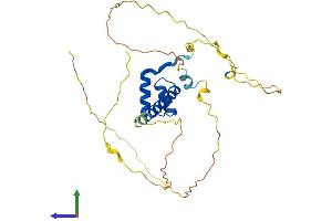 AlphaFold protein structure predicition of Mouse Recombinant Msx1 Protein, UniprotID P13297