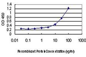ELISA image for anti-Nudix (Nucleoside Diphosphate Linked Moiety X)-Type Motif 10 (NUDT10) (AA 1-164) antibody (ABIN566921)