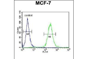 Flow cytometric analysis of MCF-7 cells (right histogram) compared to a negative control cell (left histogram). (RENT2/UPF2 抗体  (AA 630-656))