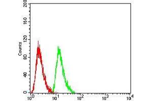 Flow cytometric analysis of Hela cells using RAN mouse mAb (green) and negative control (red). (RAN 抗体  (AA 1-216))