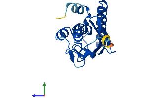 Protein Structure (PS) image for Ubiquitin-Fold Modifier Conjugating Enzyme 1 (UFC1) (AA 1-167) protein (His tag) (ABIN7545033)