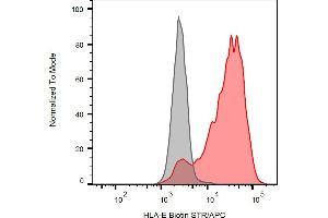 Flow cytometry analysis (surface staining) of HLA-E transfectants with anti-human HLA-E (clone MEM-E/07) biotin antibody (red), streptavidin-APC (red, concentration in sample 4 μg/mL), with blank sample (grey). (HLA-E 抗体  (Biotin))