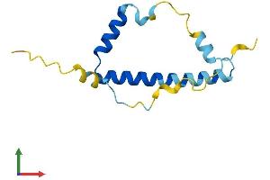 Protein Structure (PS) image for Lin-52 Homolog (LIN52) (AA 1-116) protein (His tag) (ABIN7549090)