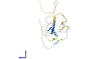 Protein Structure (PS) image for Atonal Homolog 1 (Drosophila) (ATOH1) (AA 1-354) protein (His tag) (ABIN7552403)