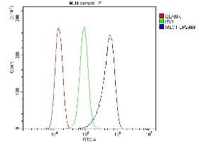 Flow Cytometry analysis of THP-1 cells using anti-MLC1 antibody (ABIN7599326). (MLC1 抗体  (AA 1-377))