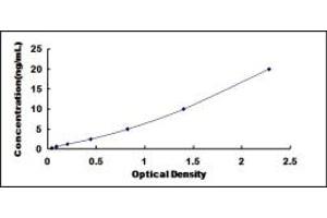 Typical standard curve (CDK5 ELISA 试剂盒)