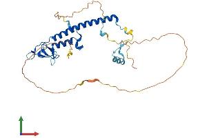 Protein Structure (PS) image for Rabphilin 3A-Like (Without C2 Domains) (RPH3AL) (AA 1-302) protein (His tag) (ABIN7558162)
